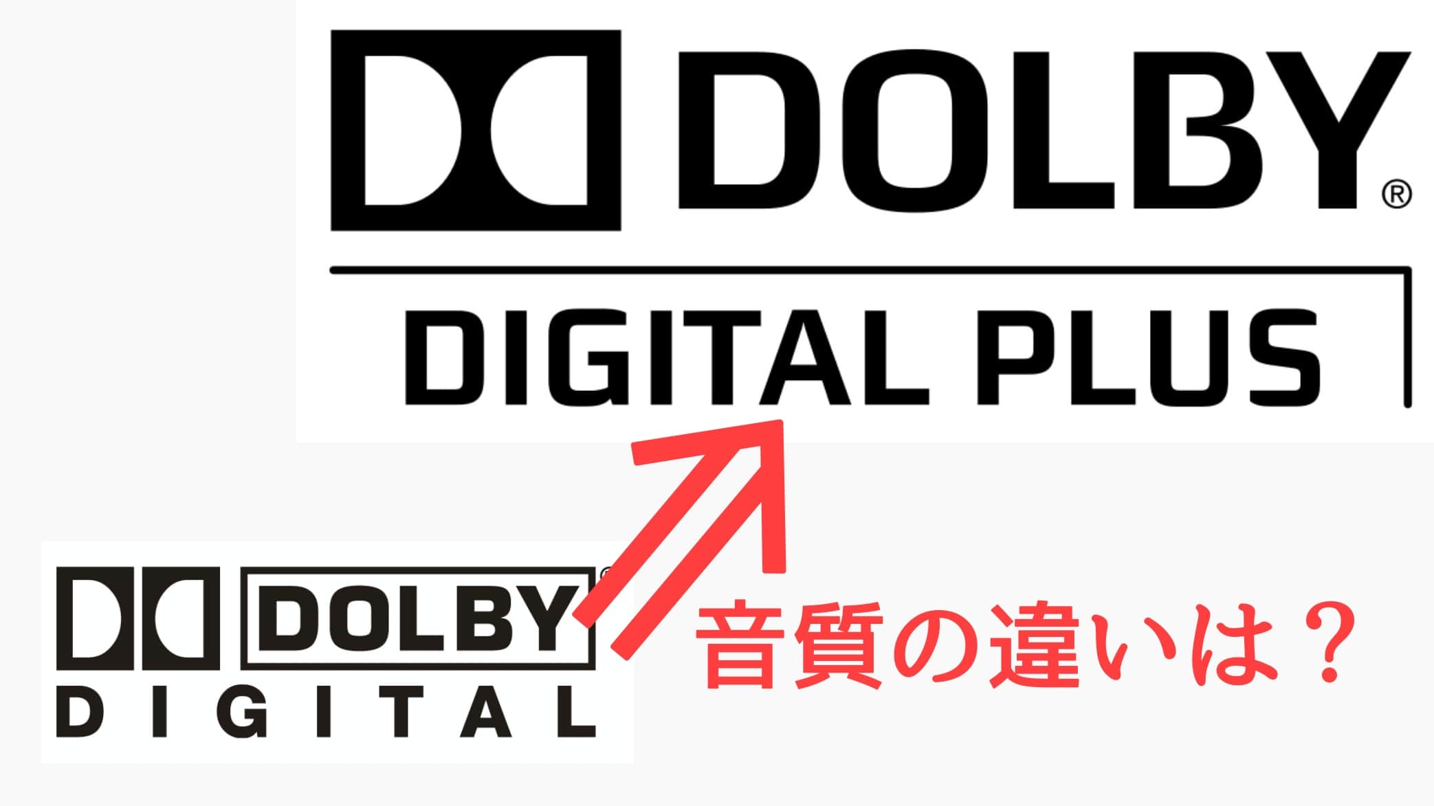 DOLBY DIGITAL ドルビーデジタルロゴプレート